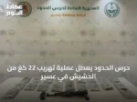 حرس الحدود يعطل عملية تهريب 22 كغ من الحشيش في عسير