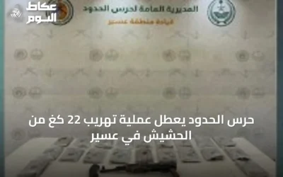 حرس الحدود يعطل عملية تهريب 22 كغ من الحشيش في عسير