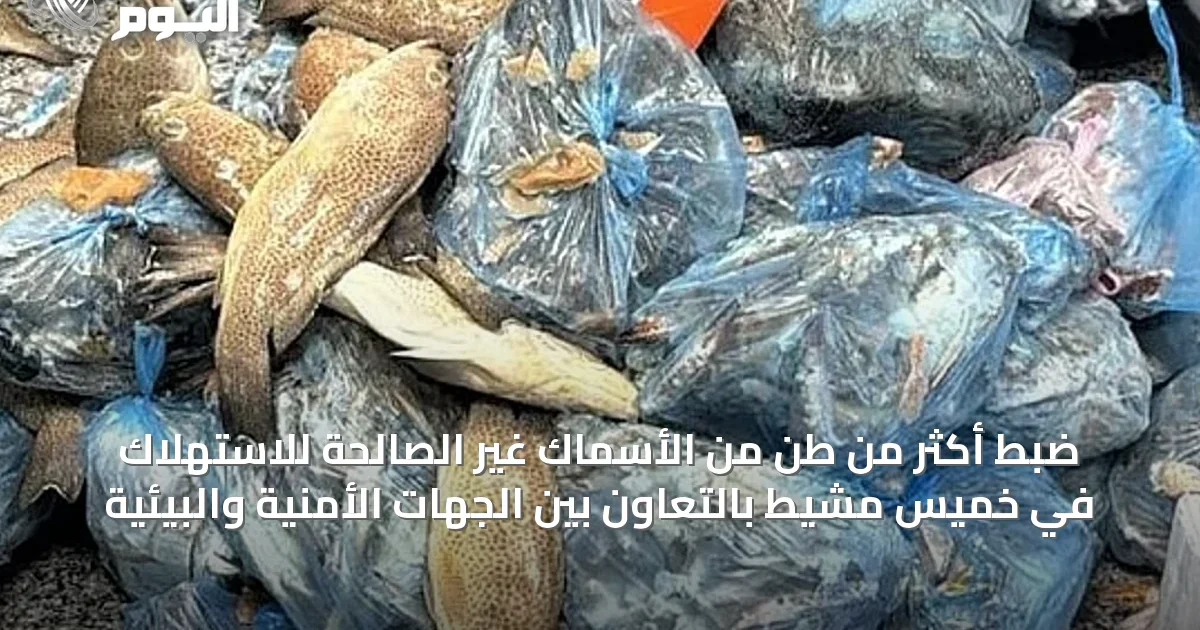 ضبط أكثر من طن من الأسماك غير الصالحة للاستهلاك في خميس مشيط بالتعاون بين الجهات الأمنية والبيئية