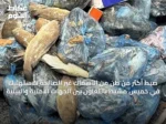 ضبط أكثر من طن من الأسماك غير الصالحة للاستهلاك في خميس مشيط بالتعاون بين الجهات الأمنية والبيئية