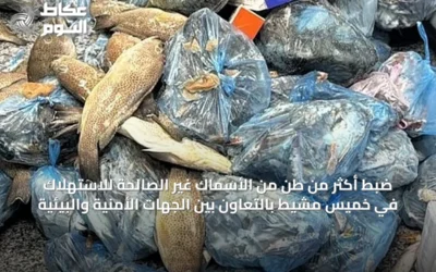 ضبط أكثر من طن من الأسماك غير الصالحة للاستهلاك في خميس مشيط بالتعاون بين الجهات الأمنية والبيئية