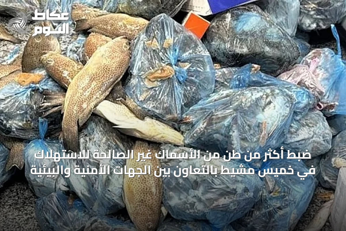 ضبط أكثر من طن من الأسماك غير الصالحة للاستهلاك في خميس مشيط بالتعاون بين الجهات الأمنية والبيئية