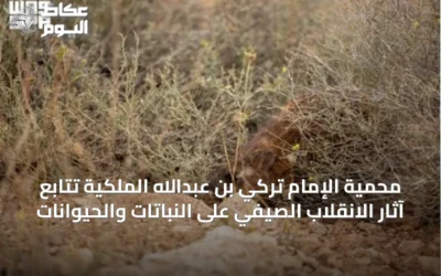 محمية الإمام تركي بن عبدالله الملكية تتابع آثار الانقلاب الصيفي على النباتات والحيوانات