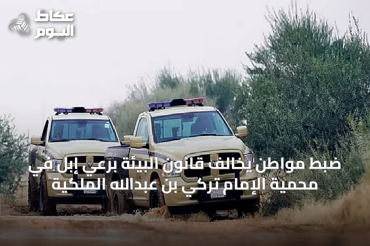ضبط مواطن يُخالف قانون البيئة برعي إبل في محمية الإمام تركي بن عبدالله الملكية