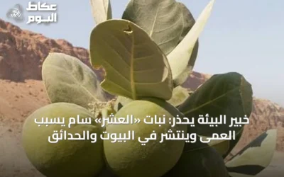 خبير البيئة يحذر: نبات «العشر» سام يسبب العمى وينتشر في البيوت والحدائق