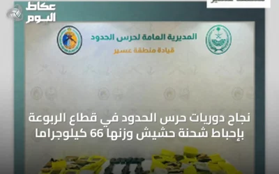 نجاح دوريات حرس الحدود في قطاع الربوعة بإحباط شحنة حشيش وزنها 66 كيلوجرامًا