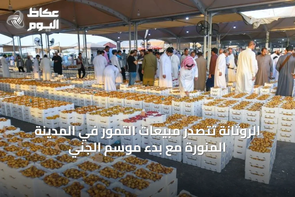 الروثانة تتصدر مبيعات التمور في المدينة المنورة مع بدء موسم الجني