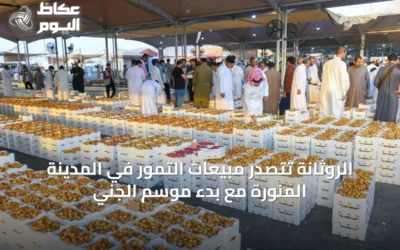 الروثانة تتصدر مبيعات التمور في المدينة المنورة مع بدء موسم الجني