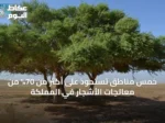 خمس مناطق تستحوذ على أكثر من 70% من معالجات الأشجار في المملكة
