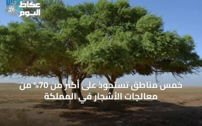 خمس مناطق تستحوذ على أكثر من 70% من معالجات الأشجار في المملكة