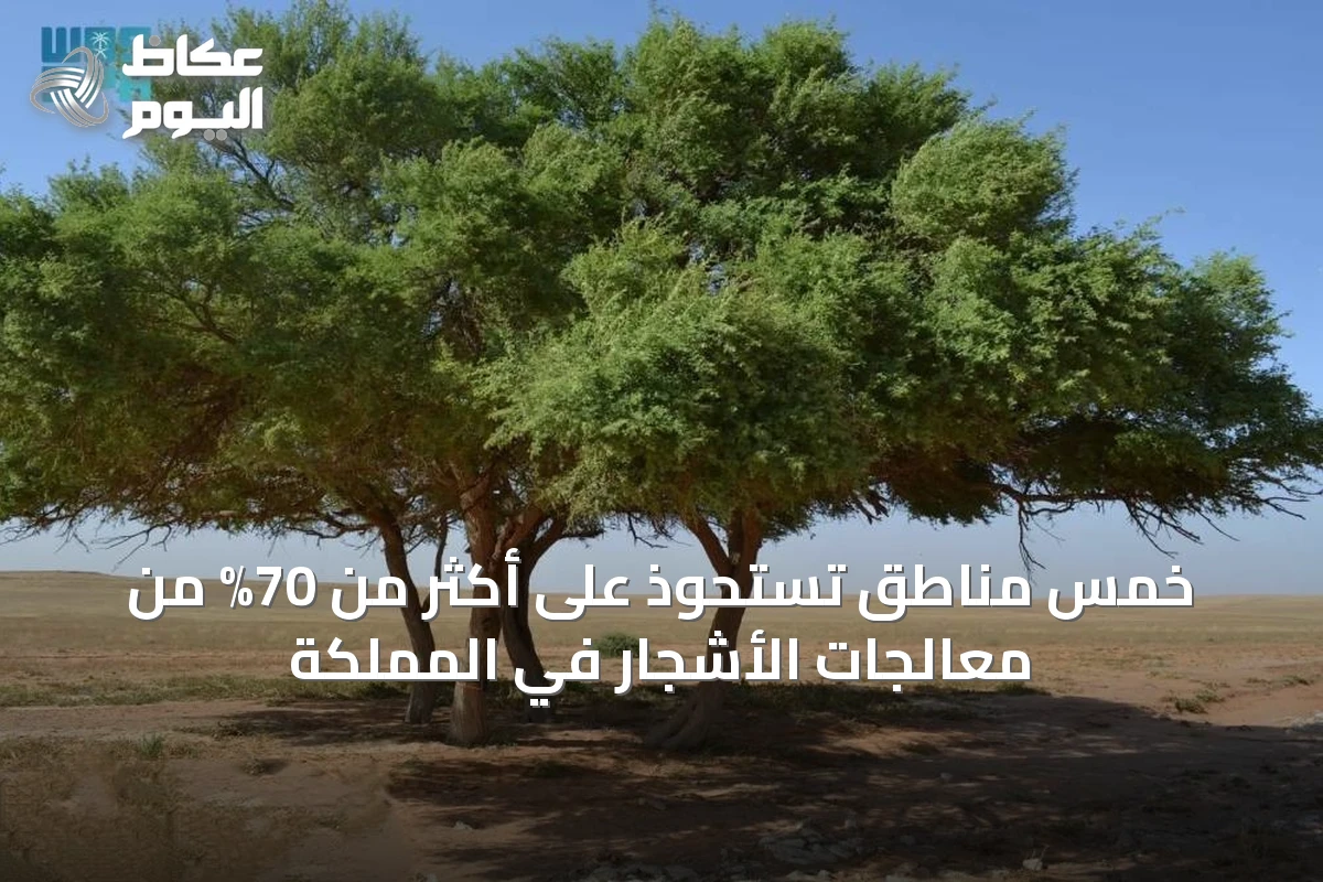 خمس مناطق تستحوذ على أكثر من 70% من معالجات الأشجار في المملكة