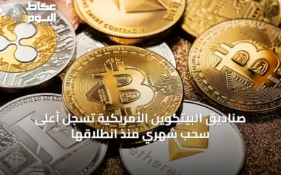 صناديق البيتكوين الأمريكية تسجل أعلى سحب شهري منذ انطلاقها