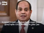 السيسي يتوجه بتعزية رسمية إلى القيادة السعودية عقب مقتل 14 شهيدًا في حادث طائرة أرامكو