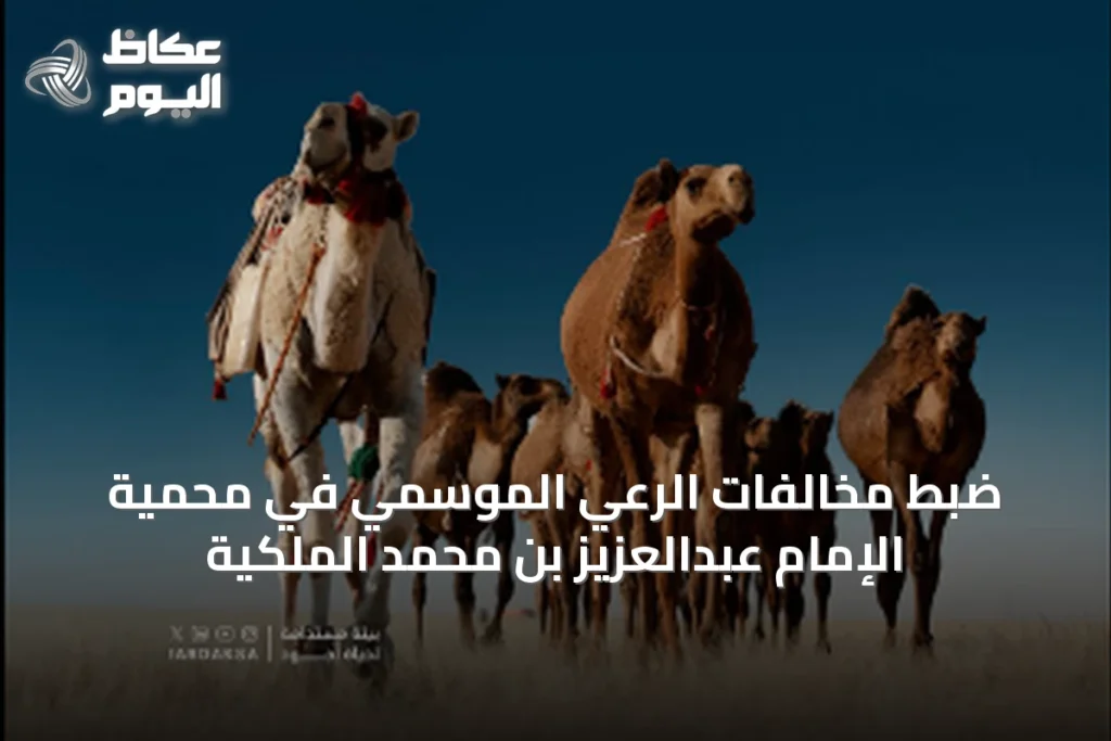 ضبط مخالفات الرعي الموسمي في محمية الإمام عبدالعزيز بن محمد الملكية