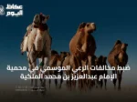 ضبط مخالفات الرعي الموسمي في محمية الإمام عبدالعزيز بن محمد الملكية