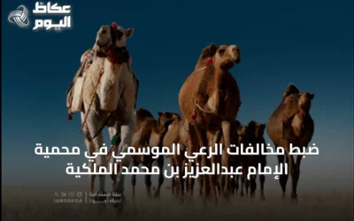 ضبط مخالفات الرعي الموسمي في محمية الإمام عبدالعزيز بن محمد الملكية