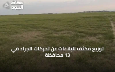 توزيع مكثف للبلاغات عن تحركات الجراد في 13 محافظة
