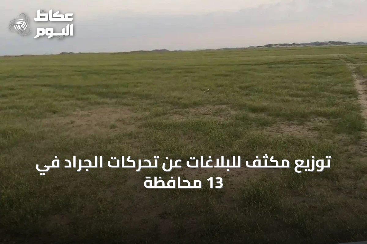 توزيع مكثف للبلاغات عن تحركات الجراد في 13 محافظة