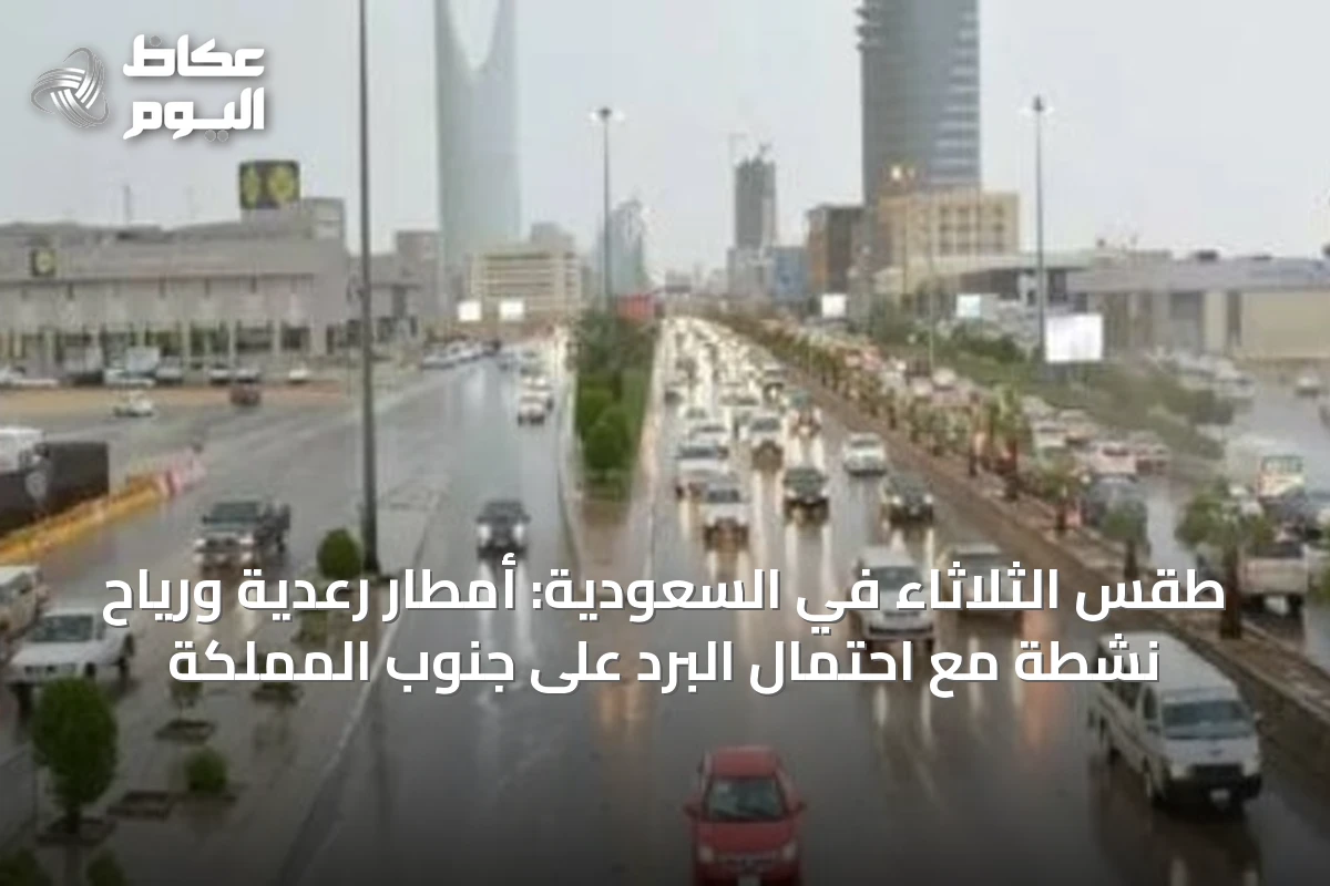 طقس الثلاثاء في السعودية: أمطار رعدية ورياح نشطة مع احتمال البرد على جنوب المملكة