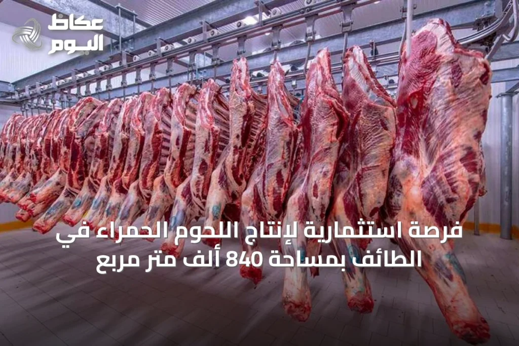 فرصة استثمارية لإنتاج اللحوم الحمراء في الطائف بمساحة 840 ألف متر مربع