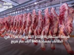 فرصة استثمارية لإنتاج اللحوم الحمراء في الطائف بمساحة 840 ألف متر مربع