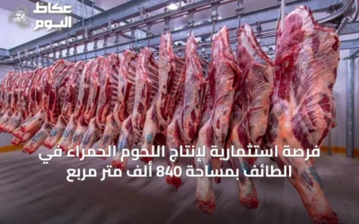 فرصة استثمارية لإنتاج اللحوم الحمراء في الطائف بمساحة 840 ألف متر مربع