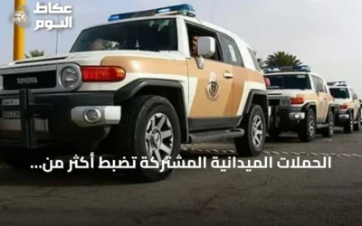 الحملات الميدانية المشتركة تضبط أكثر من 15 ألف مخالفة للإقامة والعمل وأمن الحدود