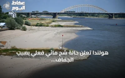 هولندا تعلن حالة شح مائي فعلي بسبب الجفاف وارتفاع الحرارة