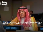 الهيئة العامة للأوقاف تنهي مشاركتها في منتدى التنمية المستدامة 2026 بمقر الأمم المتحدة
