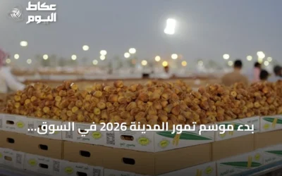 بدء موسم تمور المدينة 2026 في السوق المركزي يوم الاثنين