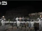 ضبط كمية 240 كيلوجرامًا من نبتة القات وإيقاف أربعة عشر مشتبهًا في قطاع الربوعة