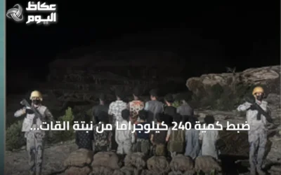 ضبط كمية 240 كيلوجرامًا من نبتة القات وإيقاف أربعة عشر مشتبهًا في قطاع الربوعة