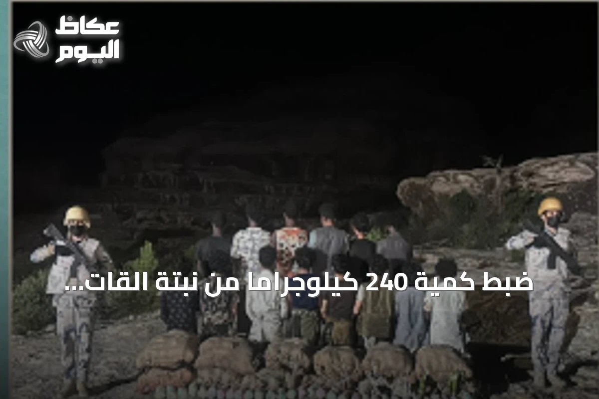ضبط كمية 240 كيلوجرامًا من نبتة القات وإيقاف أربعة عشر مشتبهًا في قطاع الربوعة
