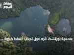 محمية بورتشكا قره غول تجذب أعداداً كبيرة من الزوار خلال موسم الصيف