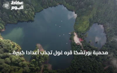 محمية بورتشكا قره غول تجذب أعداداً كبيرة من الزوار خلال موسم الصيف