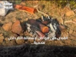 القبض على مواطن لإشعاله النار داخل محمية الإمام فيصل بن تركي وغرامة تصل إلى 3 آلاف ريال