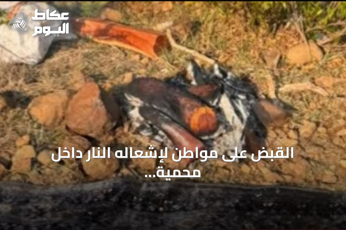 القبض على مواطن لإشعاله النار داخل محمية الإمام فيصل بن تركي وغرامة تصل إلى 3 آلاف ريال