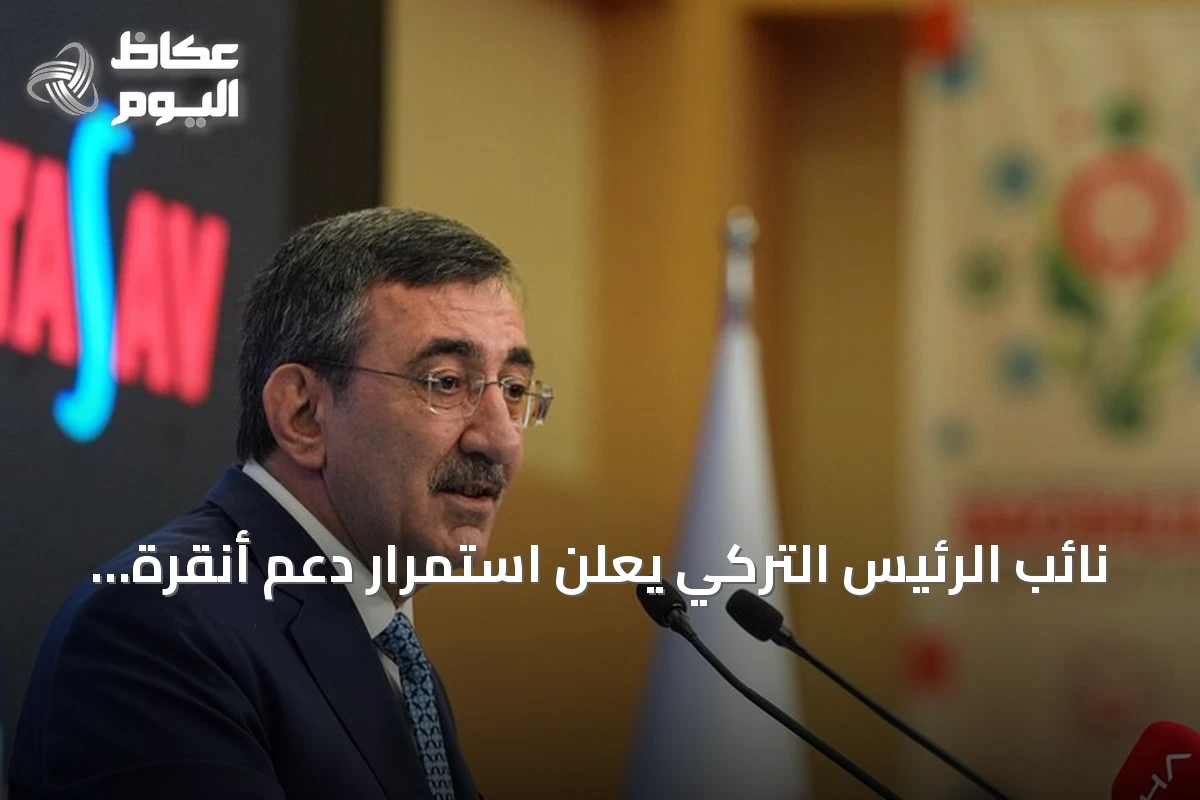 نائب الرئيس التركي يعلن استمرار دعم أنقرة لقبرص التركية