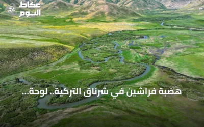 هضبة فراشين في شرناق التركية.. لوحة طبيعية تجمع بين الثلوج والمروج الخضراء