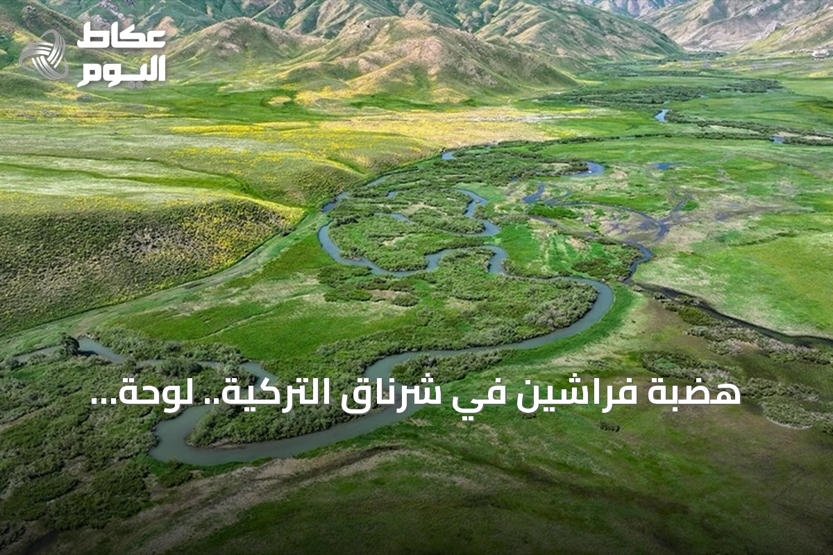 هضبة فراشين في شرناق التركية.. لوحة طبيعية تجمع بين الثلوج والمروج الخضراء