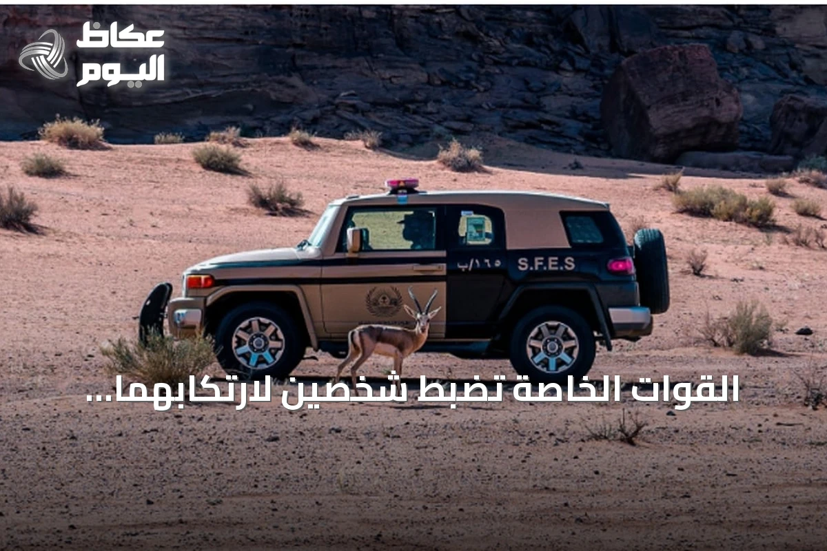 القوات الخاصة تضبط شخصين لارتكابهما مخالفات بيئية في تبوك