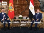 السيسي يحث واشنطن وطهران على إبرام اتفاق دائم وشامل