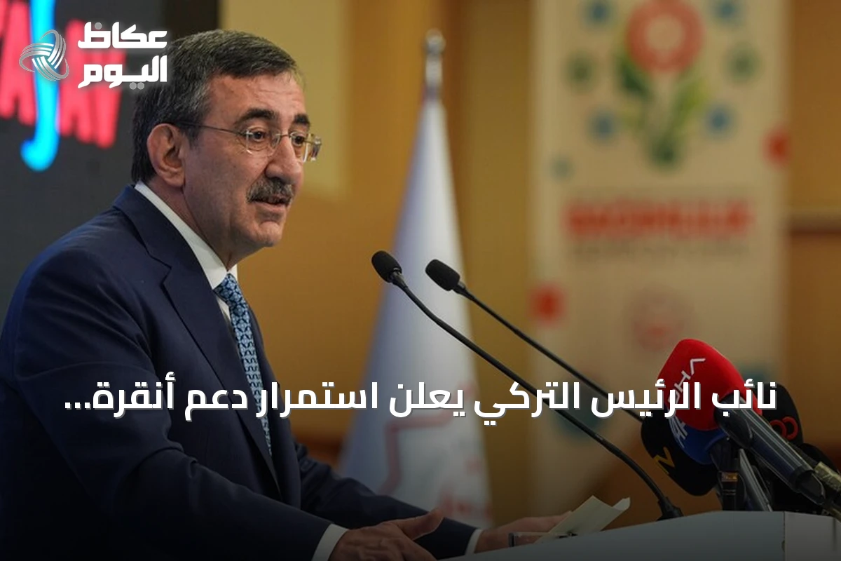 نائب الرئيس التركي يعلن استمرار دعم أنقرة لقبرص التركية ويؤكد على حقوق القبارصة الأتراك