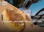 هيئة تطوير محمية الإمام تركي تسجل أكثر من 11 ألف خلية نحل في موسمي الطلح والسدر