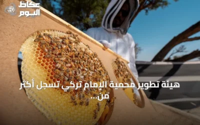 هيئة تطوير محمية الإمام تركي تسجل أكثر من 11 ألف خلية نحل في موسمي الطلح والسدر