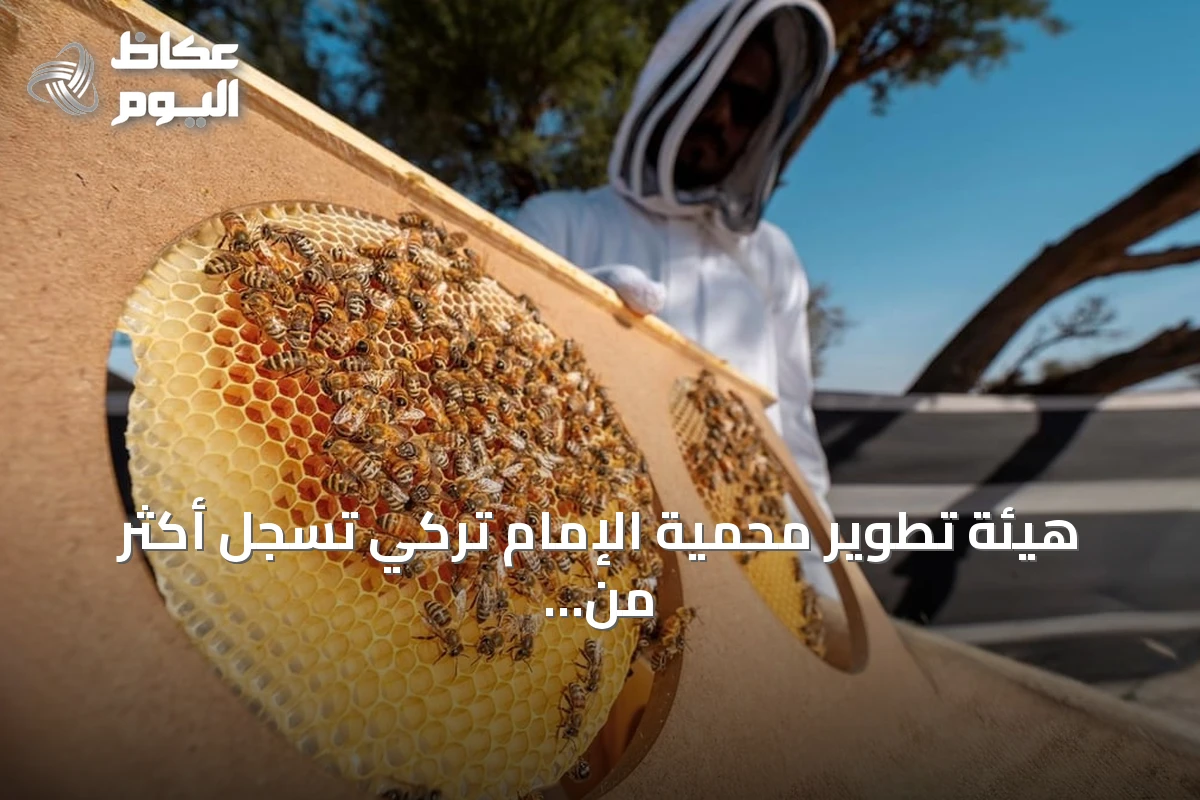 هيئة تطوير محمية الإمام تركي تسجل أكثر من 11 ألف خلية نحل في موسمي الطلح والسدر