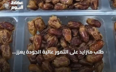 طلب متزايد على التمور عالية الجودة يعزز صادرات السعودية