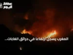 المغرب يسجل ارتفاعًا في حرائق الغابات وتراجعًا في المساحات المتضررة