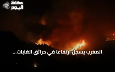 المغرب يسجل ارتفاعًا في حرائق الغابات وتراجعًا في المساحات المتضررة