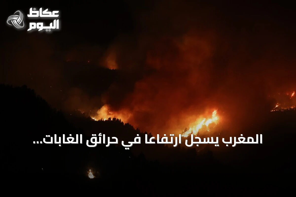 المغرب يسجل ارتفاعًا في حرائق الغابات وتراجعًا في المساحات المتضررة